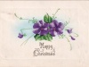 Happy-Christmas-pansies