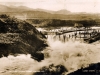 Crest of Falls & Buried Forest, Arapuni