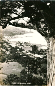 A Peep at Akaroa Aldersley A1729